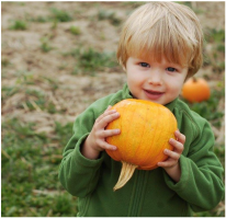 Boy in green shirt holding a pumpkin